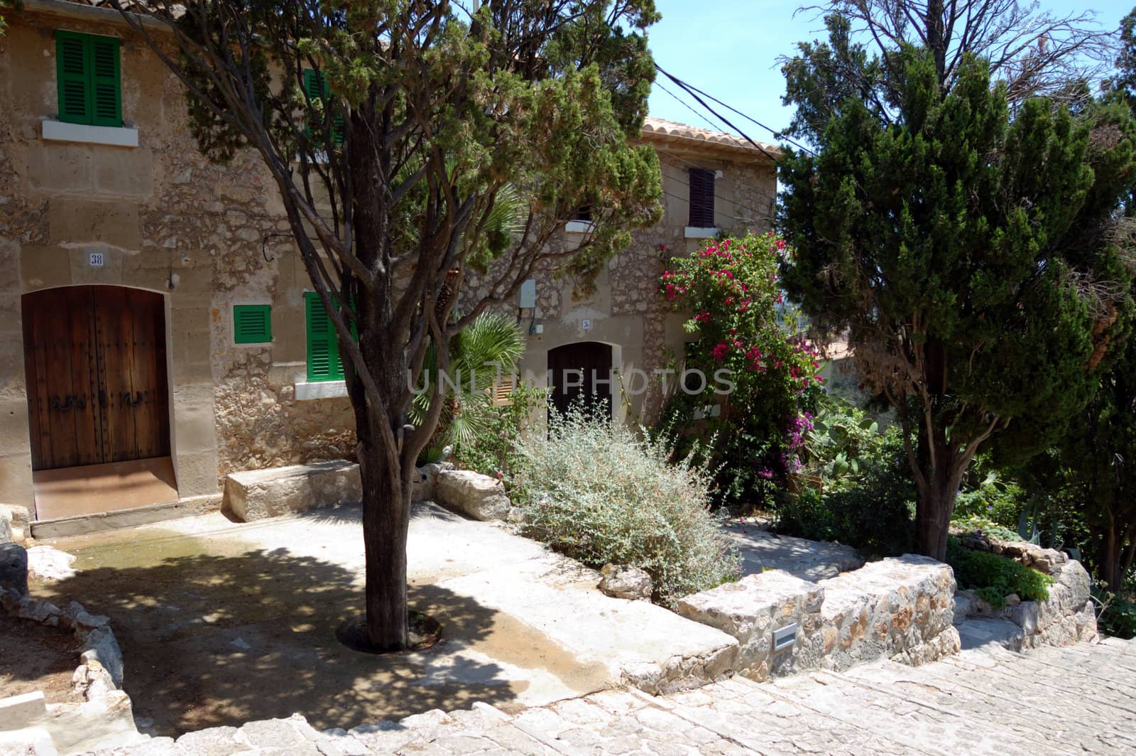 The front garden of houses on the calvary steps, Pollensa, Mallorca