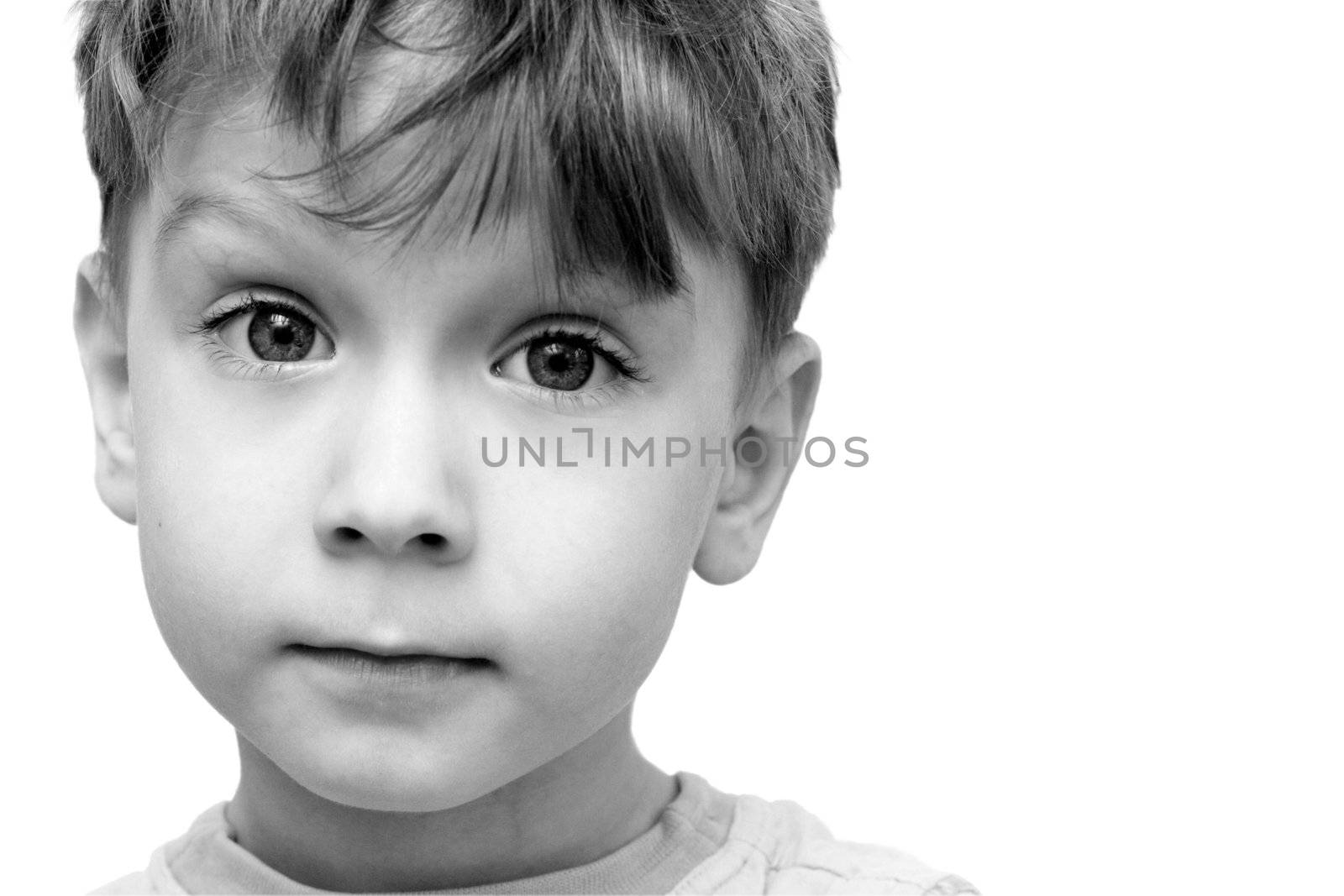 beautiful portrait of a boy on a white background