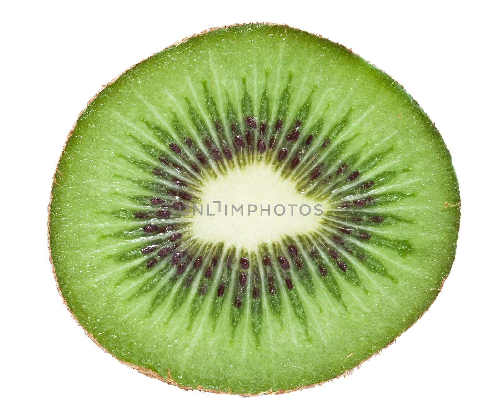 Fresh Kiwi isolated on white background