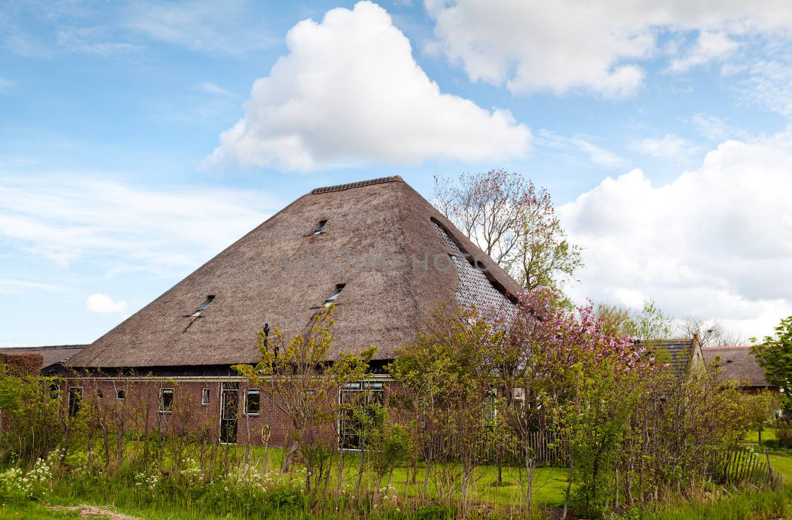 typical Dutch farm house during spring in 
North Holland