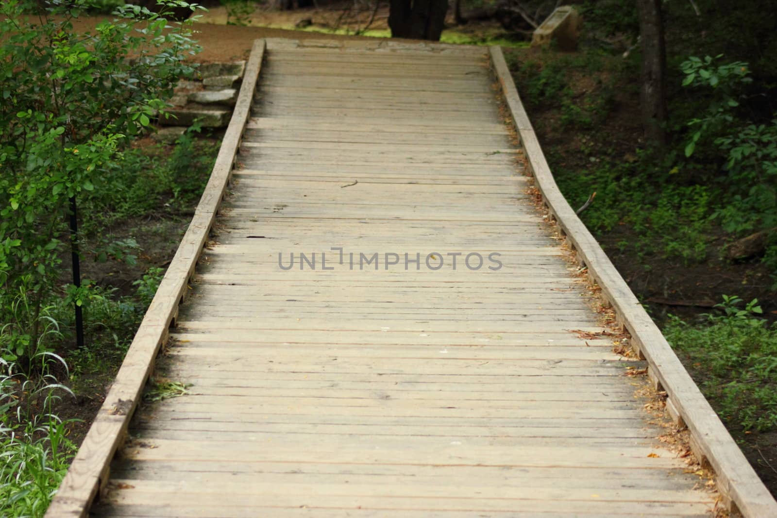 Wooden walkway over a creek bed in the woods.