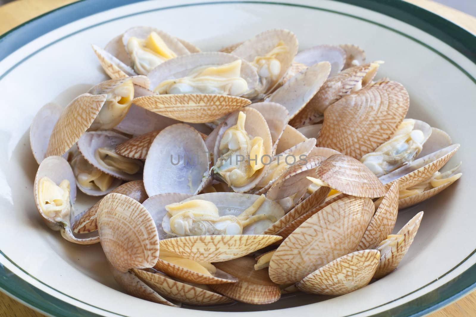 clams, seafood, used to make food such as soup or fried.