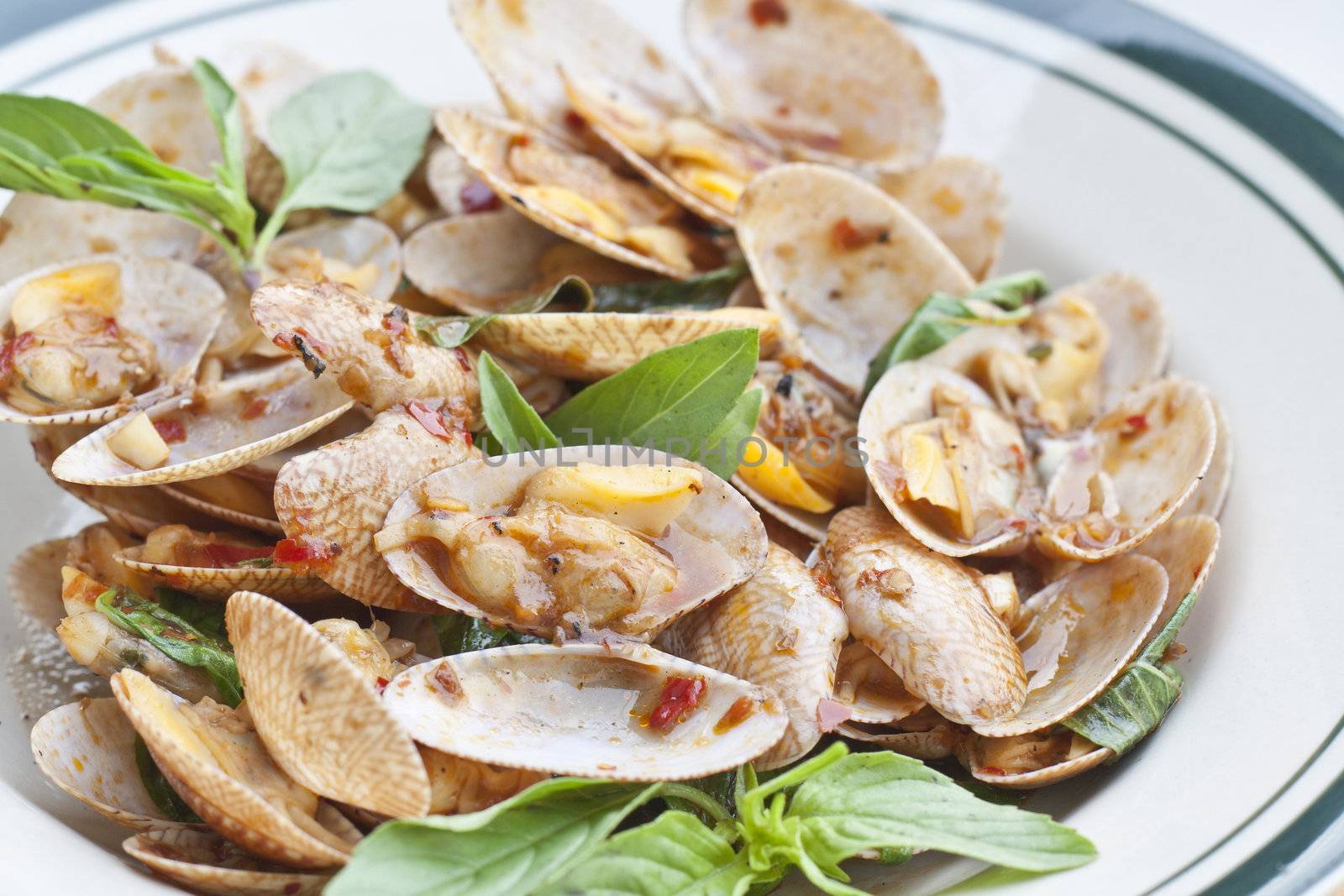clams, seafood, used to make food such as soup or fried.