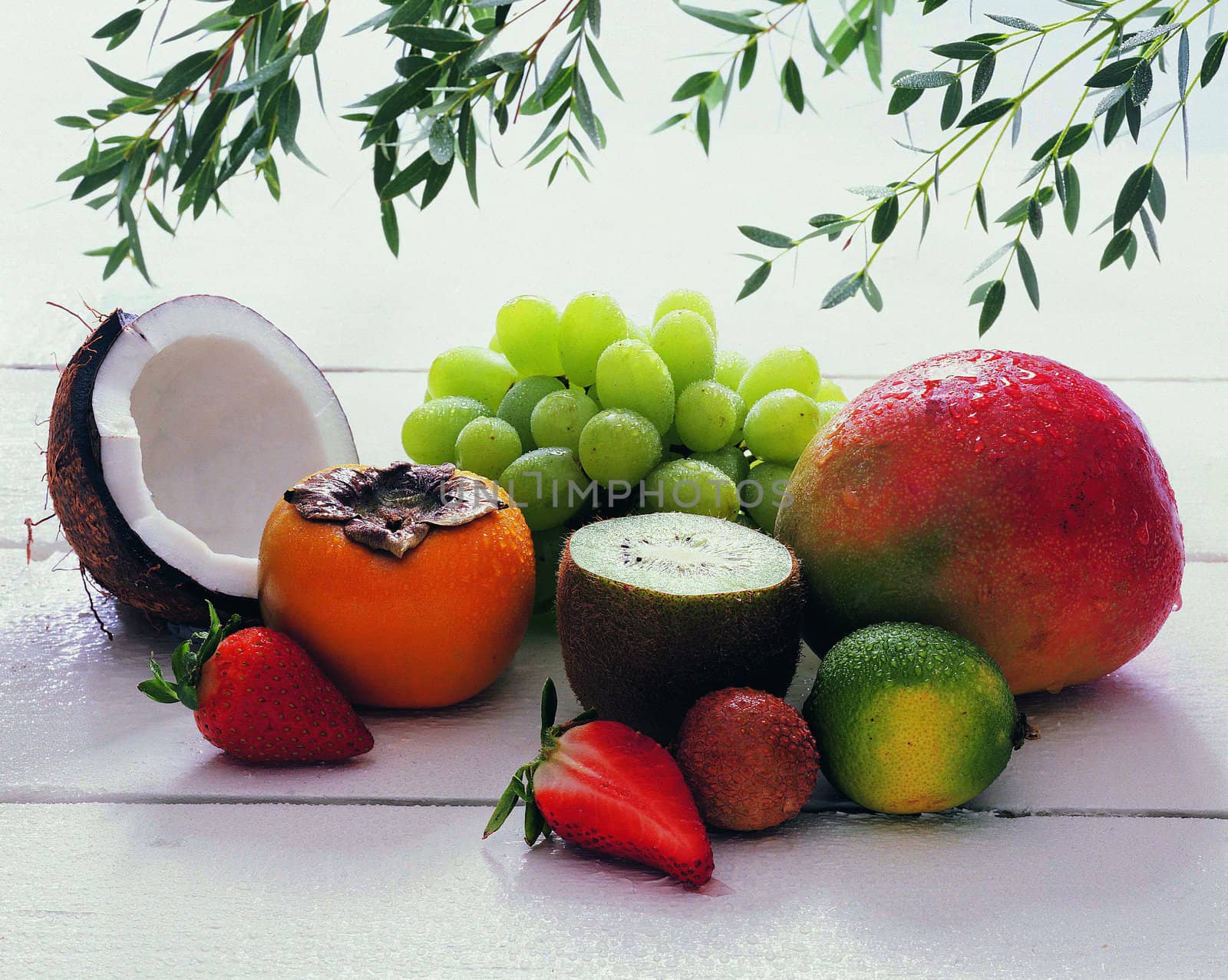 Fruit still life