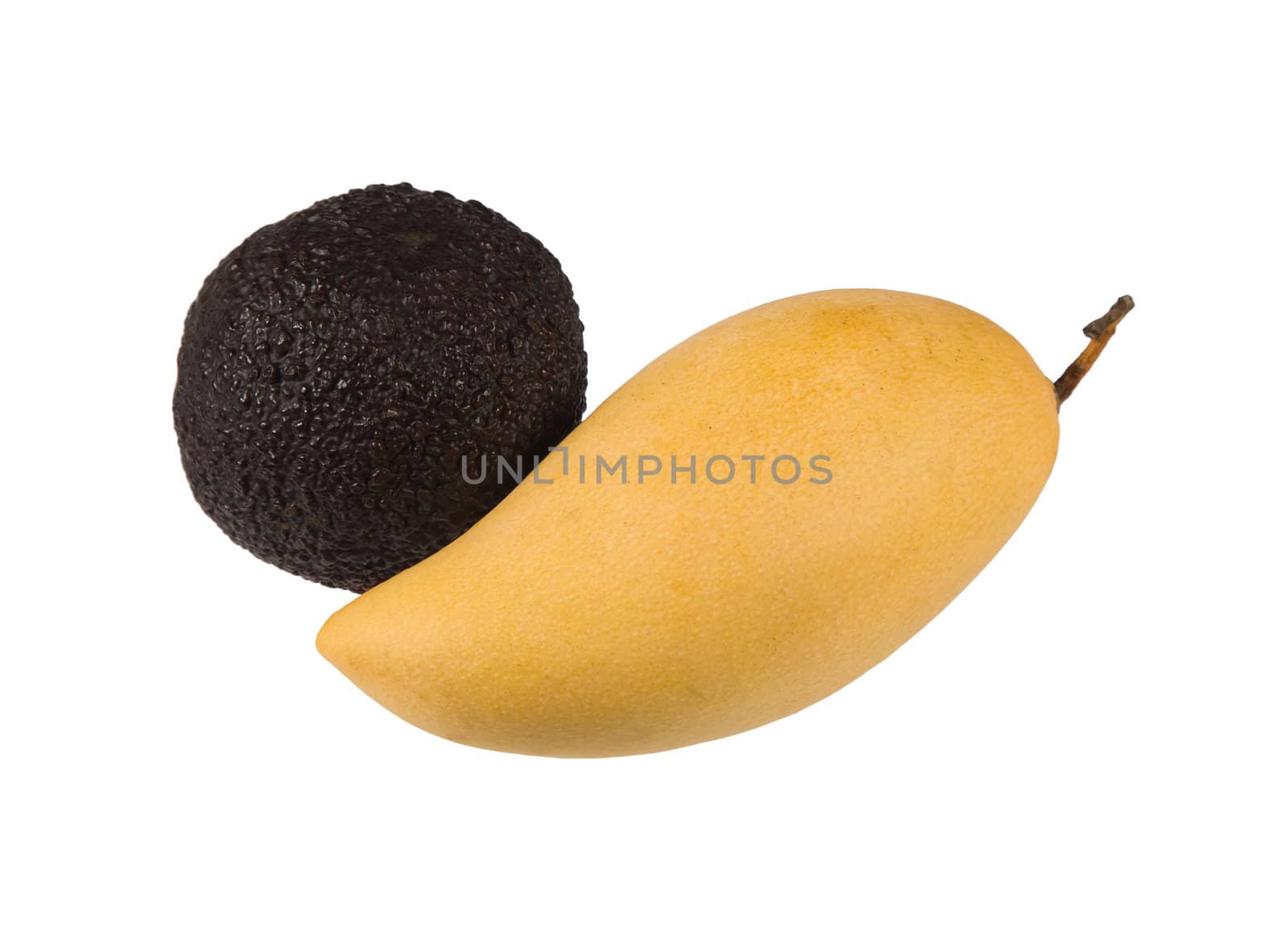Avocado and mango closeup, isolated on white background