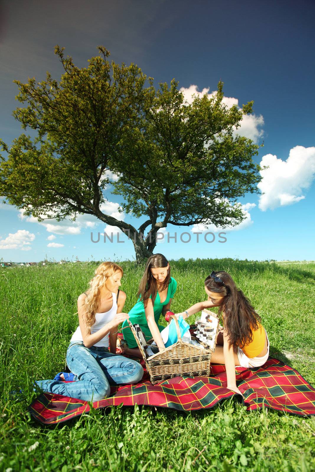 very fun girlfriends on picnic 