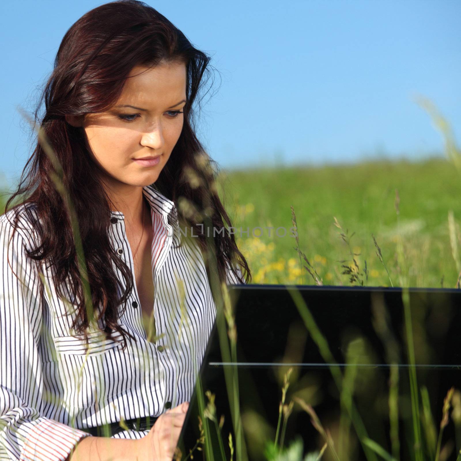 woman on green field work on laptop