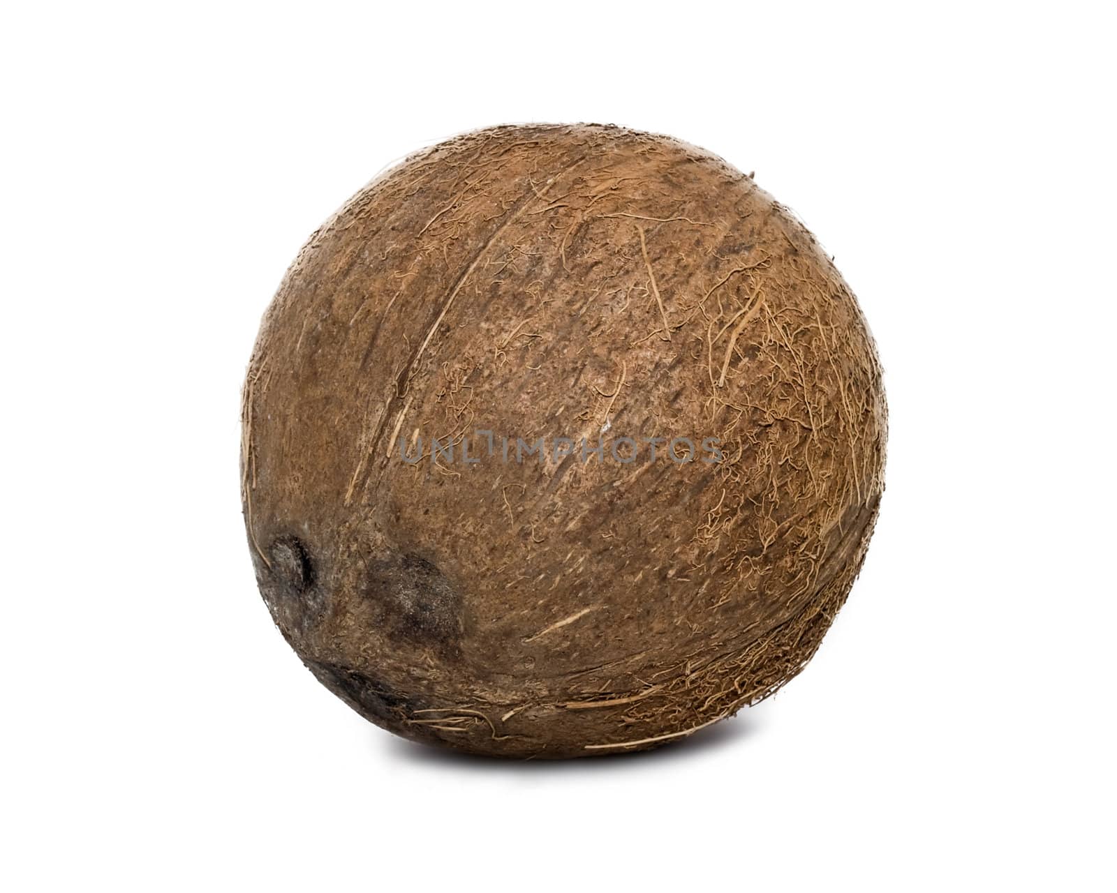 Coconut isolated on white background