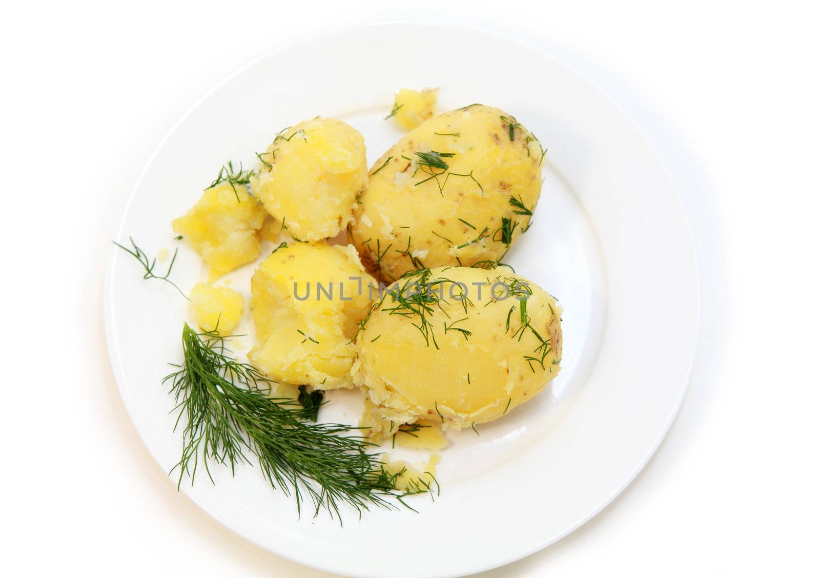 dish with bolied potato with fennes leaf on white background