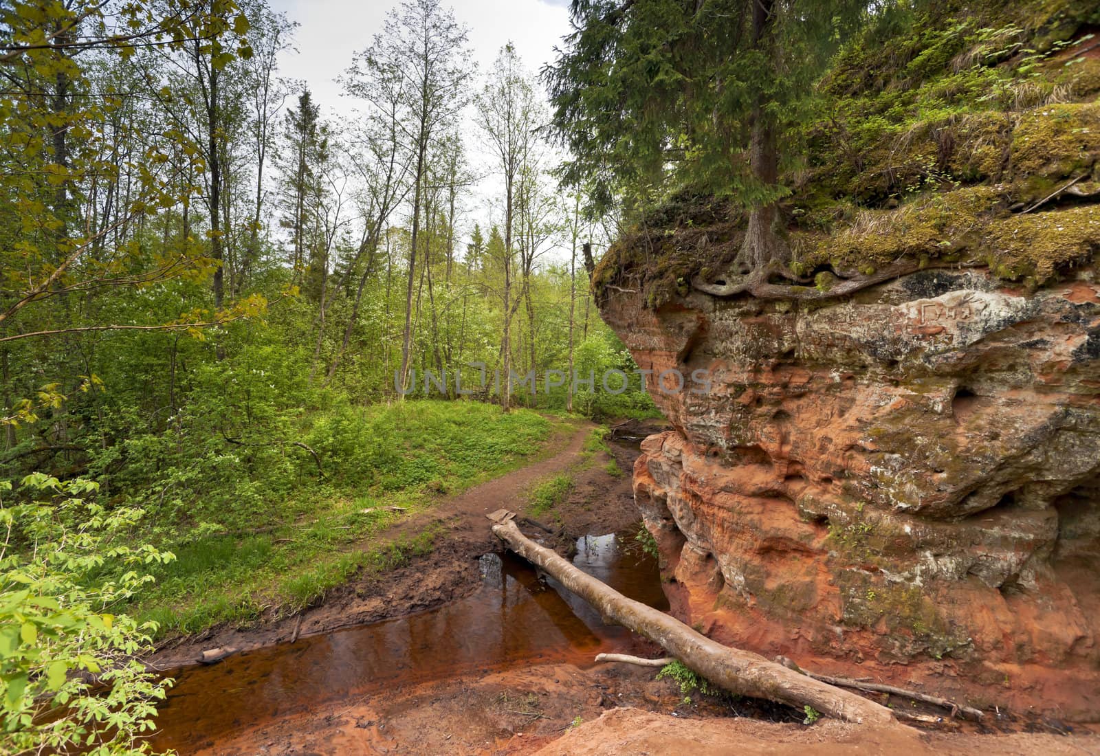 Red sand river-bank of Gryazna river in Rusia