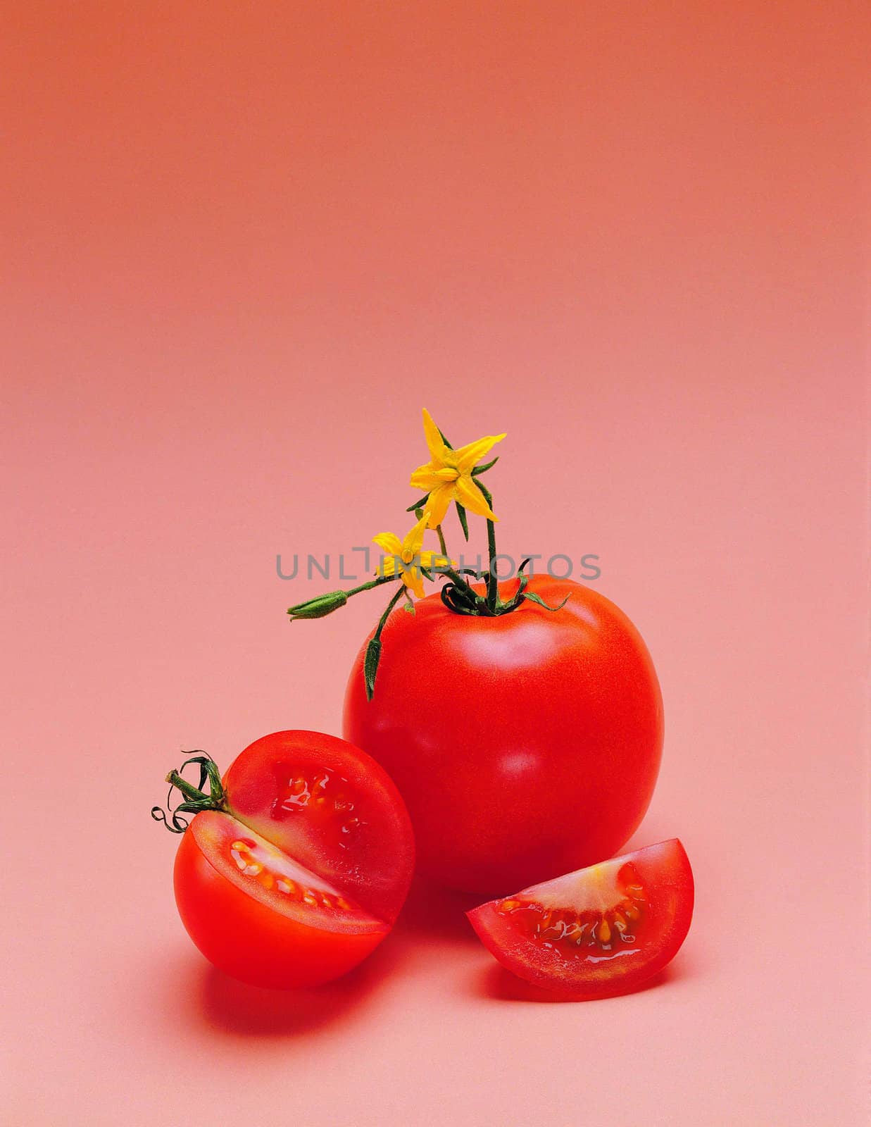 fresh tomatoes by Baltus