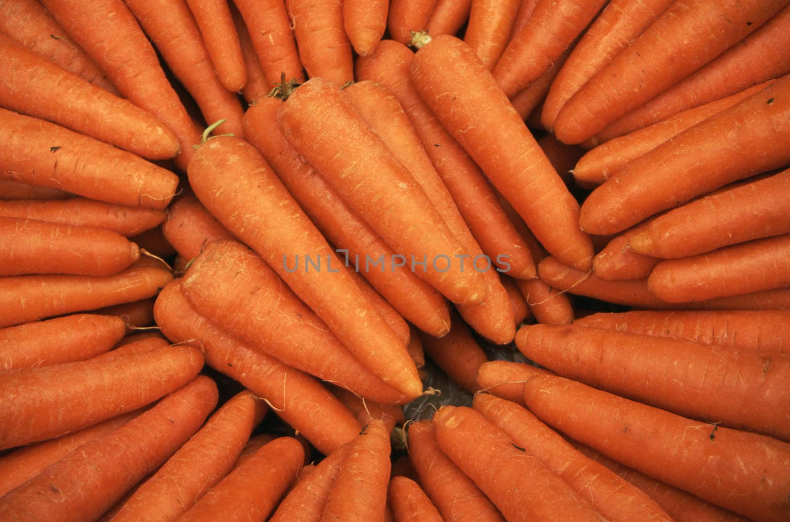 Carrots