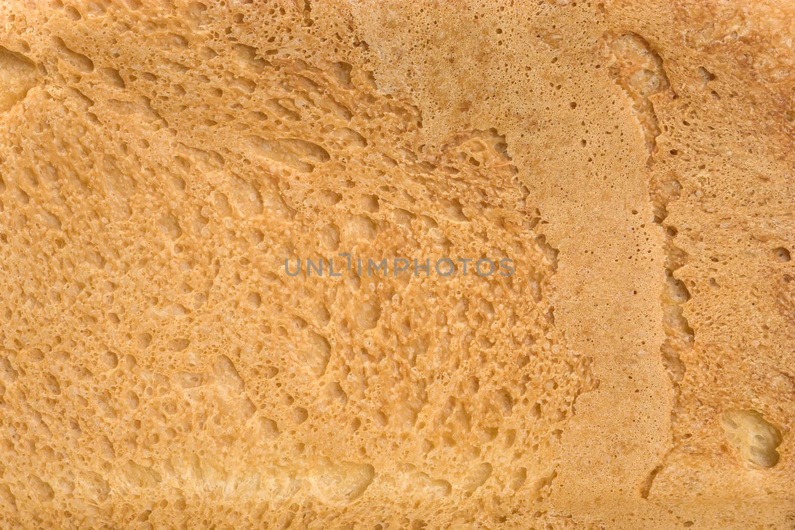 Background of fresh bread. The Piece of bread.