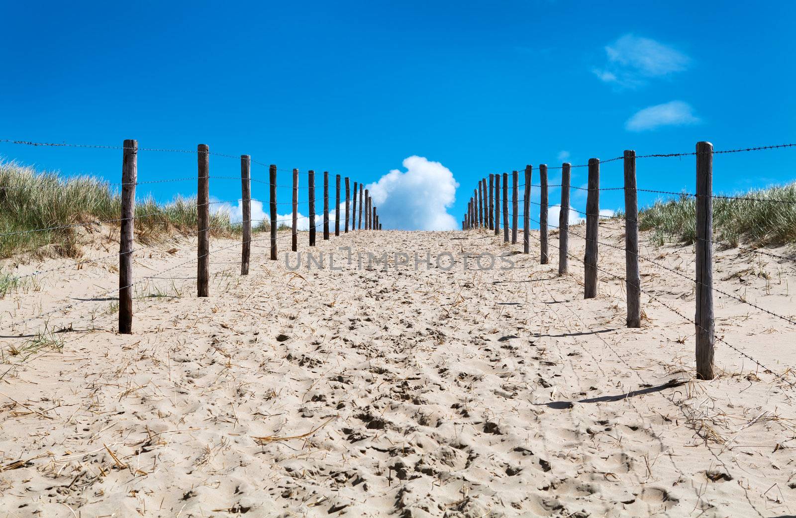 sandy path to the blue sky