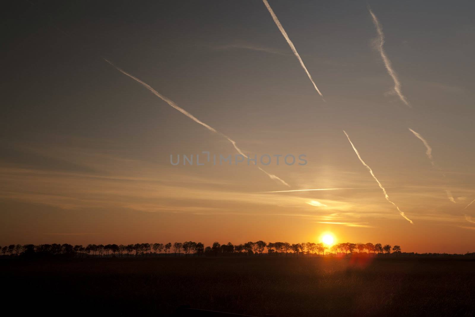 sun over horizon during sunrise on pasture