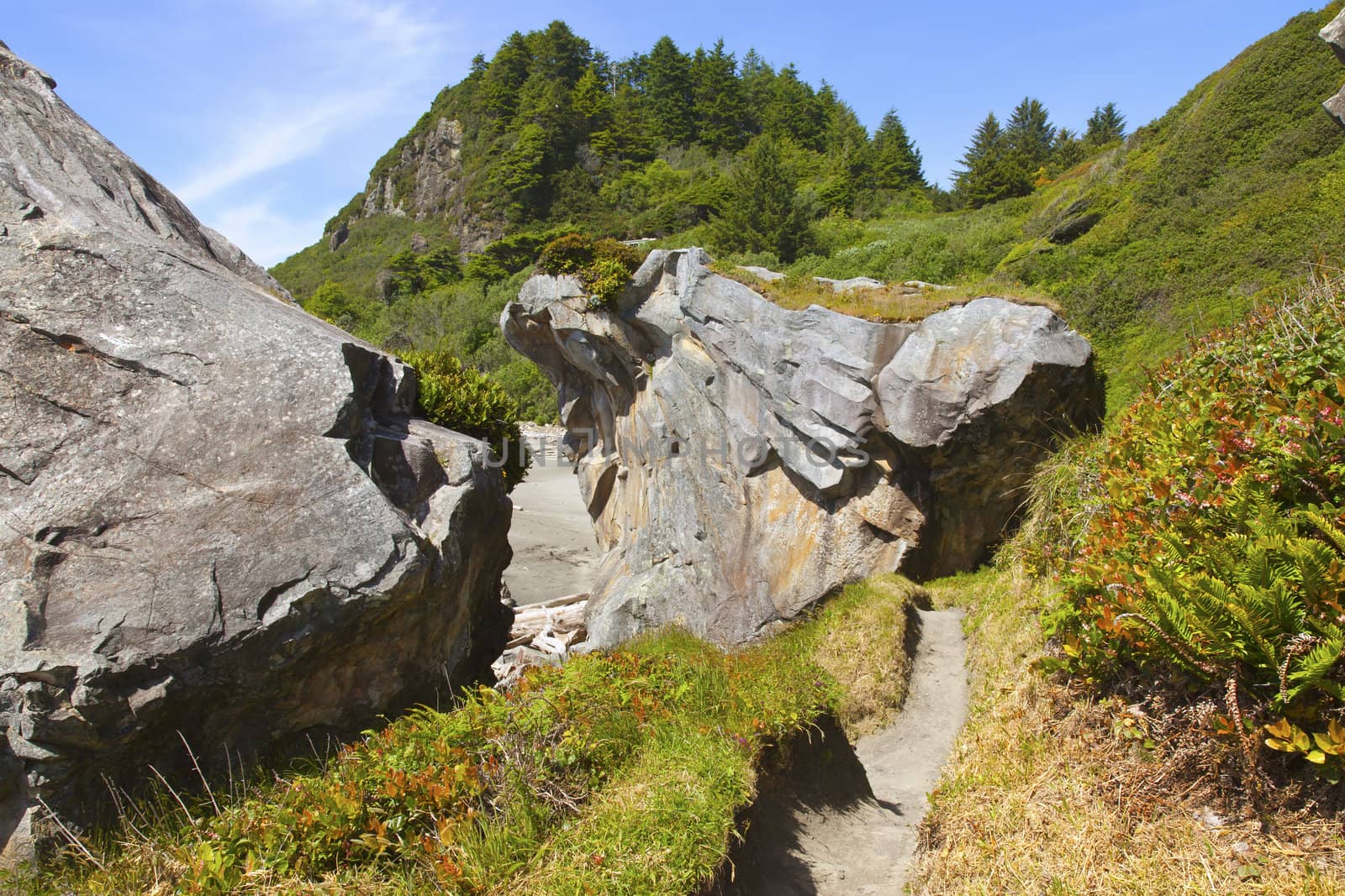 Large rocks vegetation and sand trails on the Oregon coast.