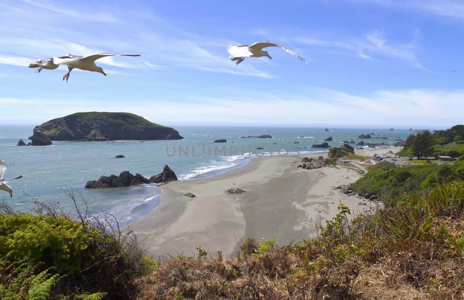 Oregon coastline rocky beaches and seagulls near Yachats OR.