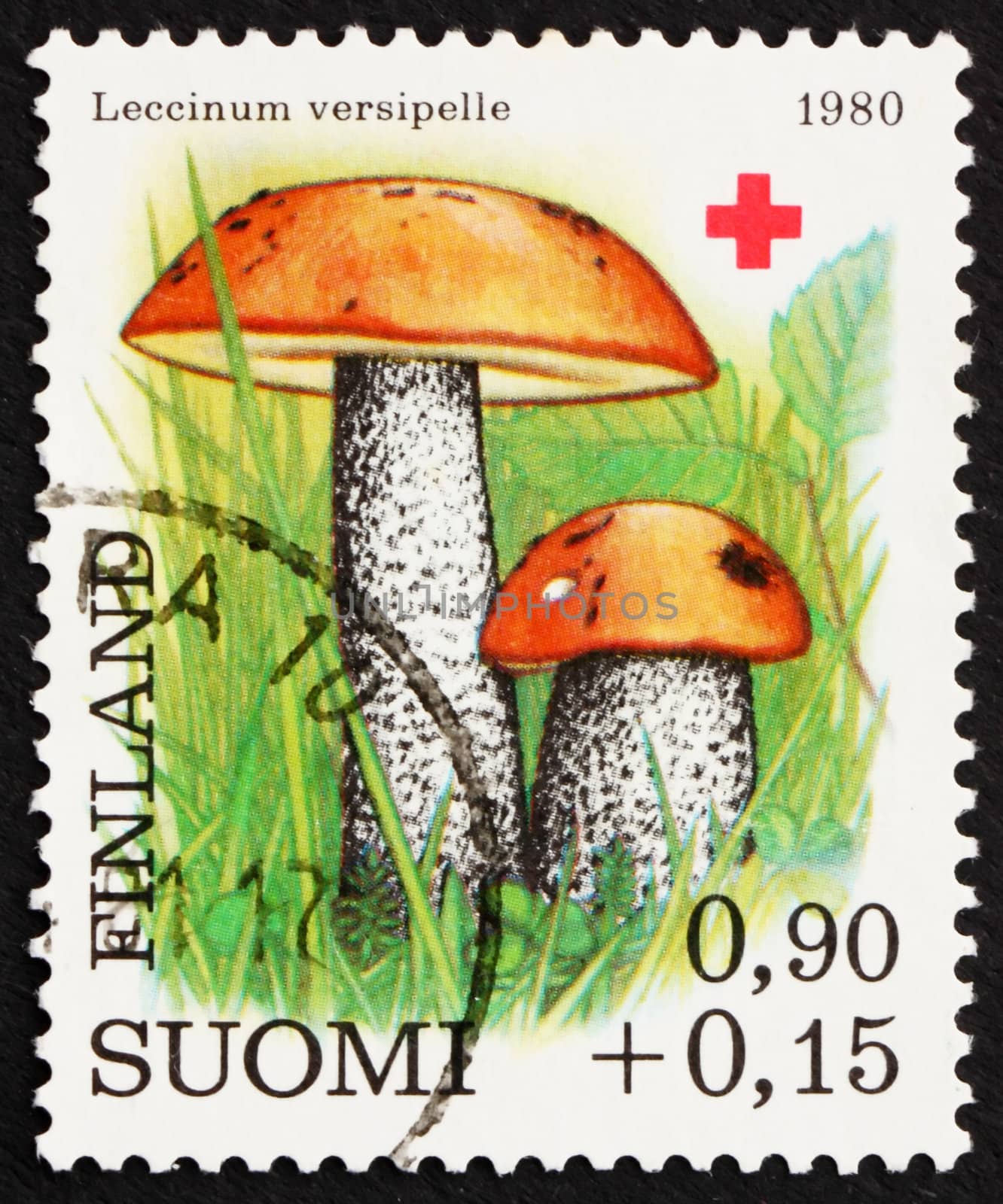 FINLAND - CIRCA 1977: a stamp printed in the Finland shows Orange-cap Boletus, Mushroom, circa 1977