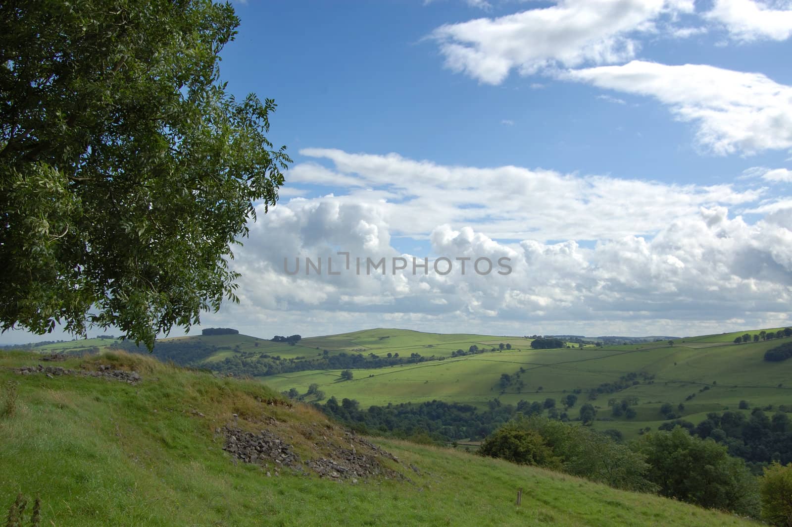 Countryside near Dovedale in the Derbyshire Peak District, England