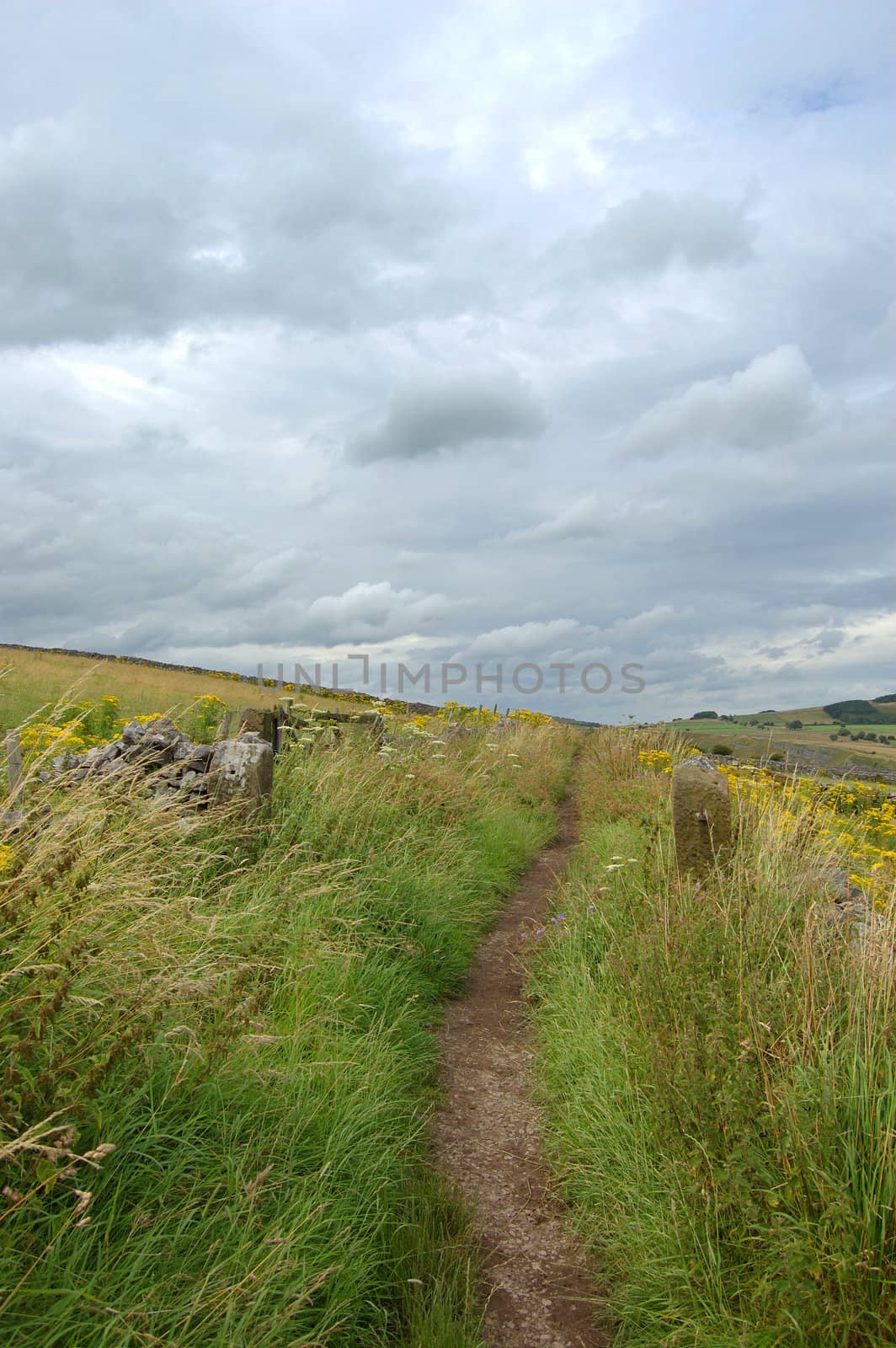 Countryside path Derbyshire by iwfrazer