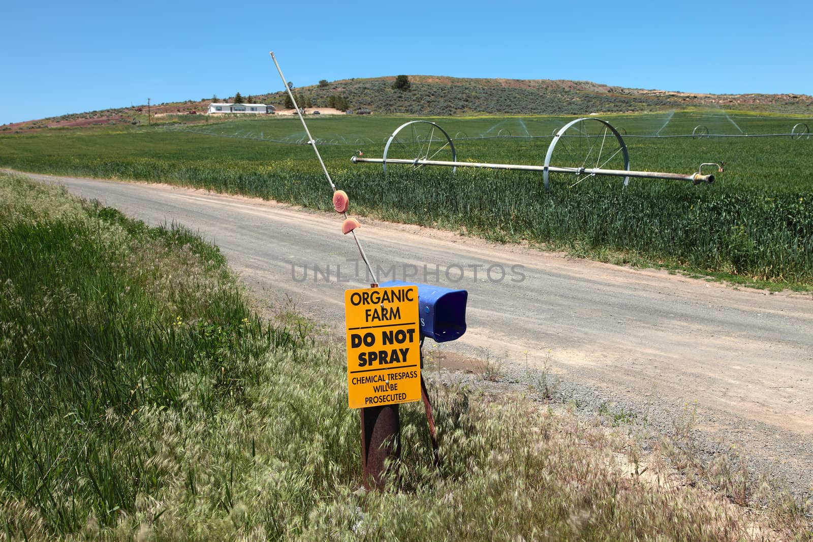 Organic agriculture & farmlands, south Oregon.