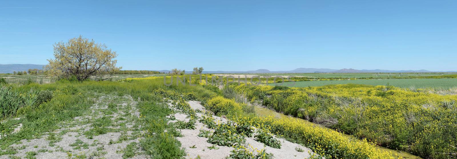 A panoramic view of the Klamath Falls wildlife area in Southern OR.