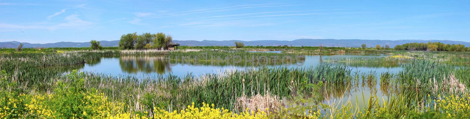 National wildlife refuge & marshes, Klamath Falls Oregon. by Rigucci