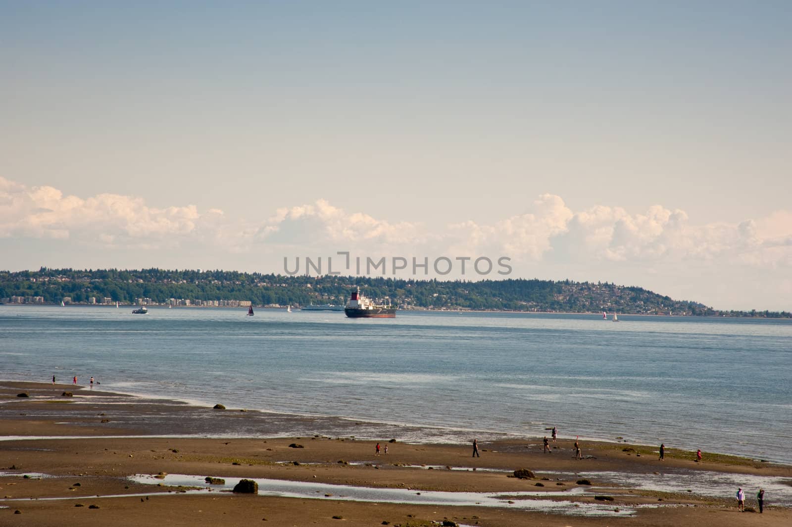 View from Discovery Park in Seattle, WA