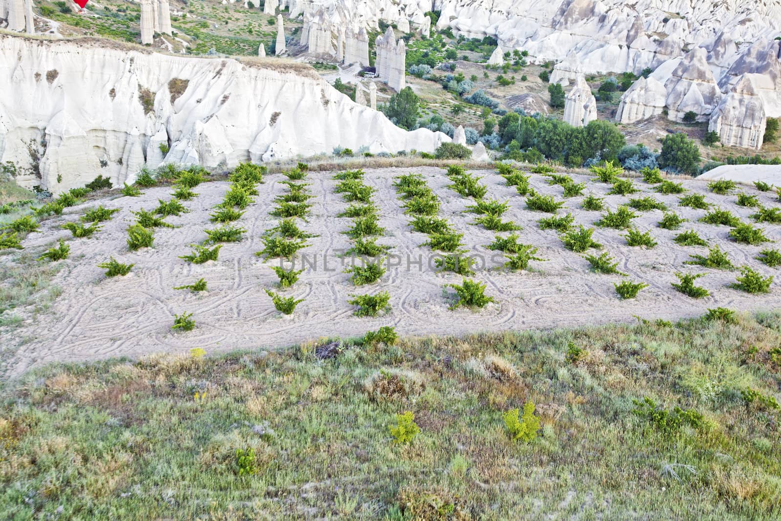 Aerial view of farmland, potato crops and limestone evolution in Cappadocia, Turkey