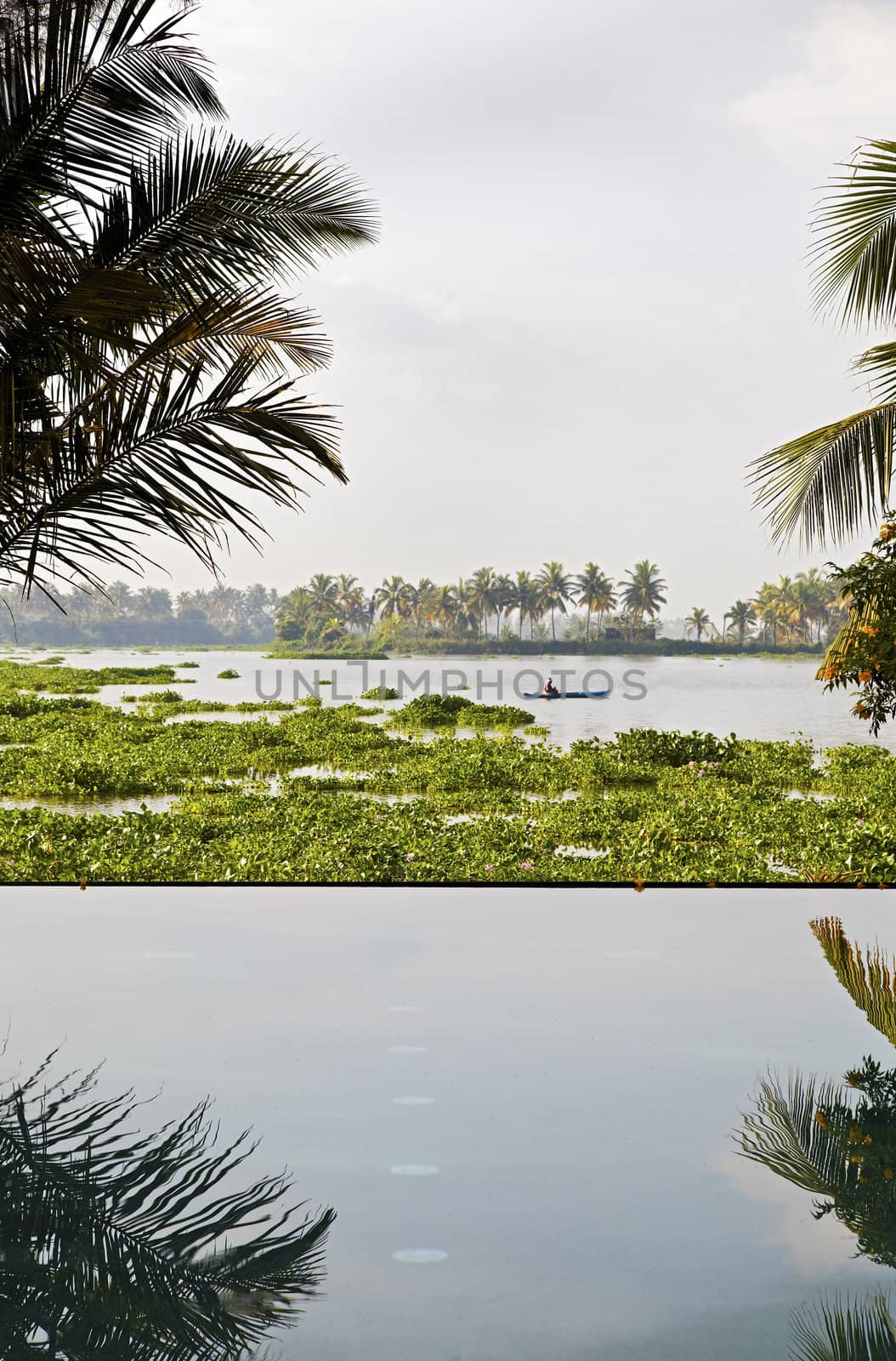 Vertical shot of infinity pool over a lake of hyacinth with mature gardens and a lone fisherman in the distance