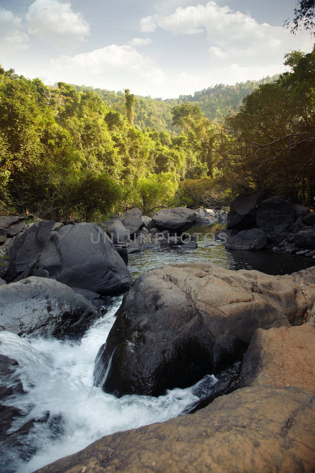 Indian jungle with shallow river between stones. Natural light and colors