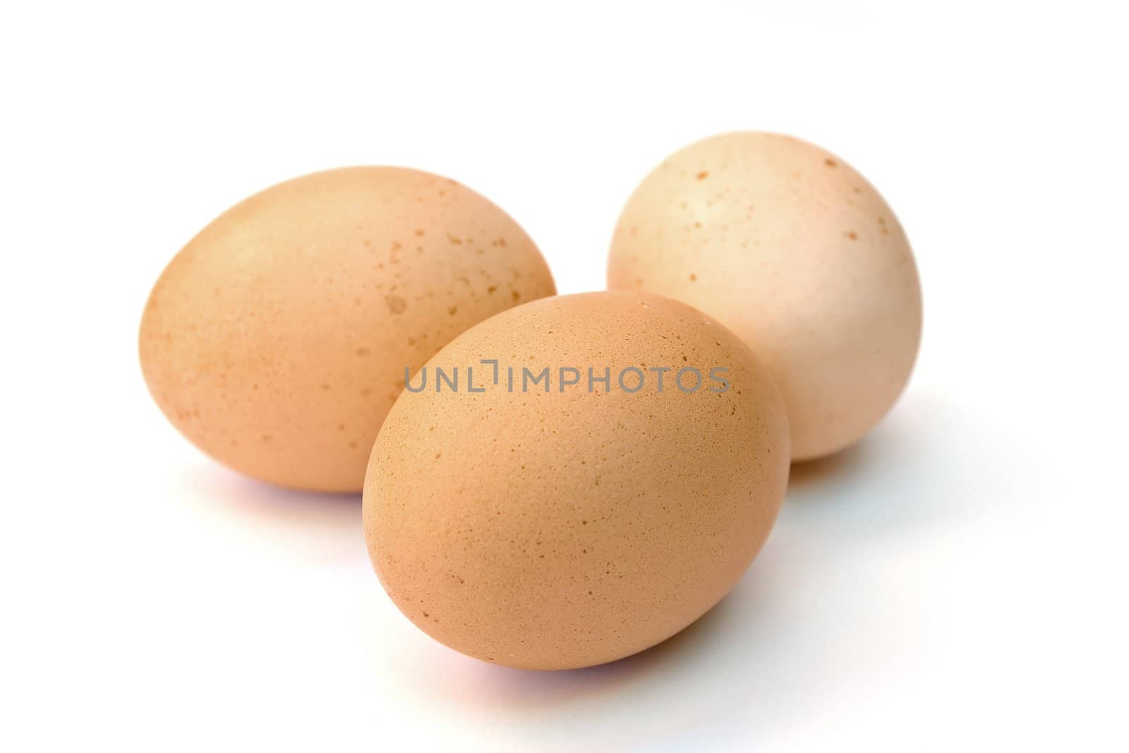 Eggs on a white background by chrisroll