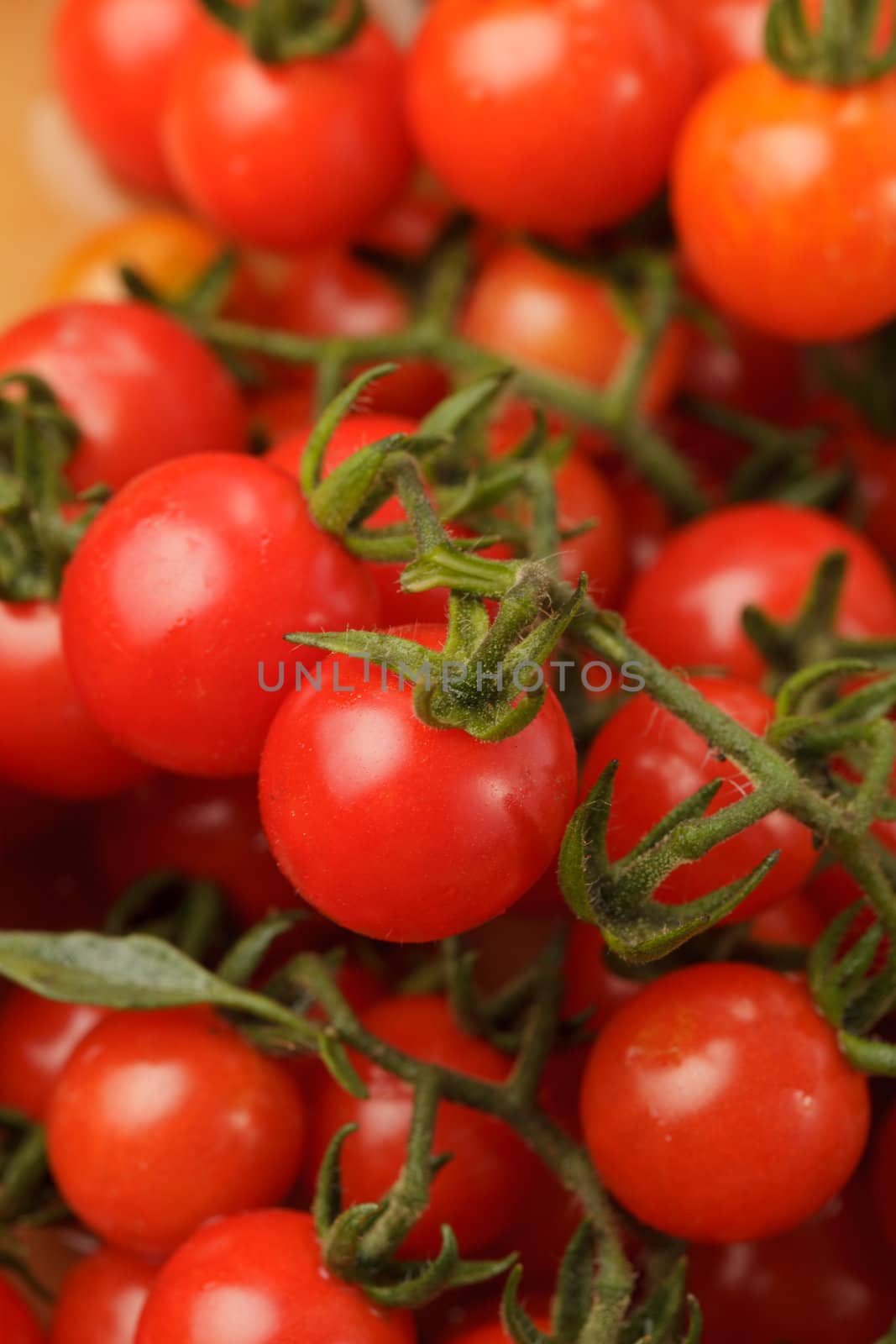 Cherry organic tomatoes closeup as a background