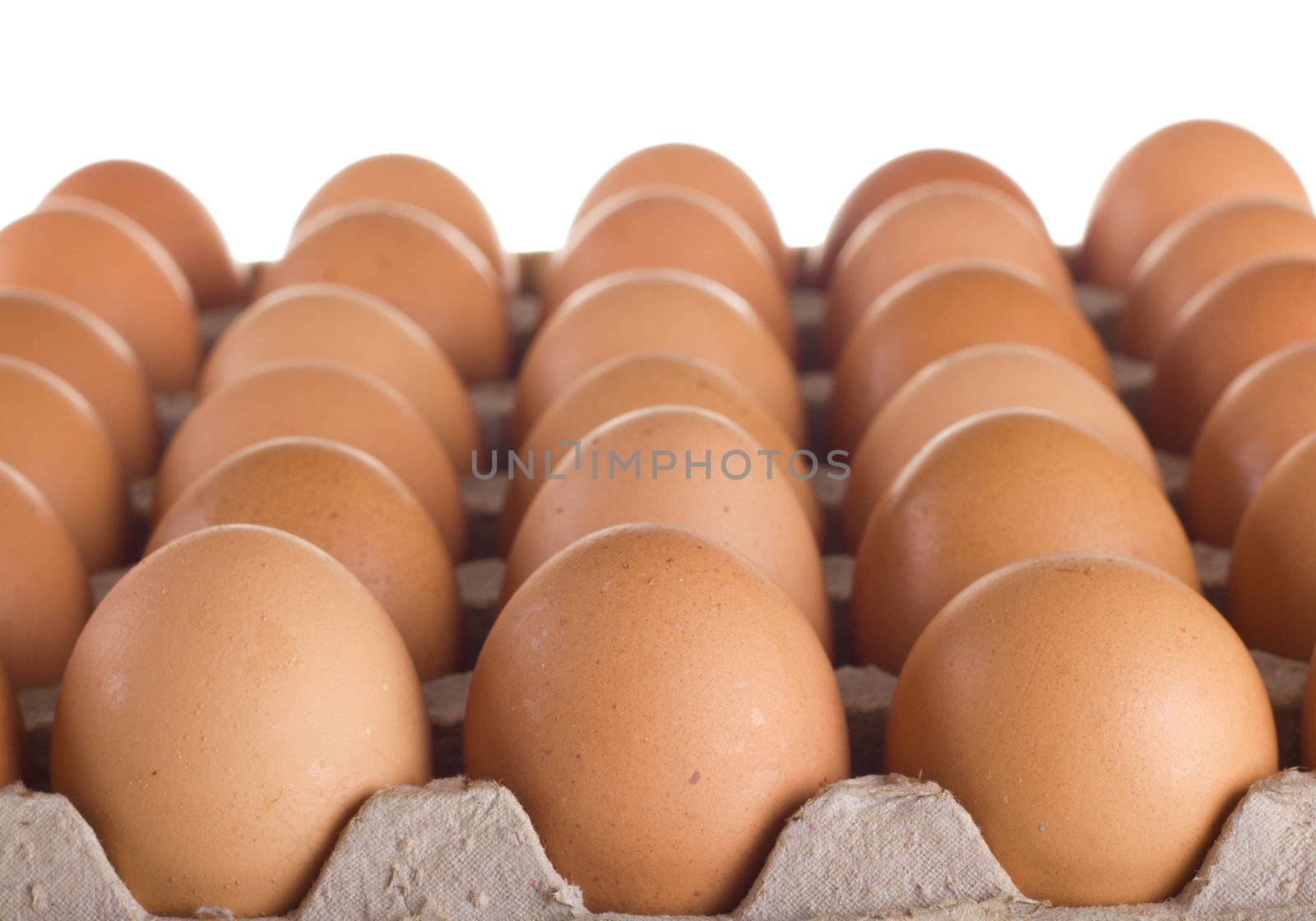 Carton of fresh brown eggs