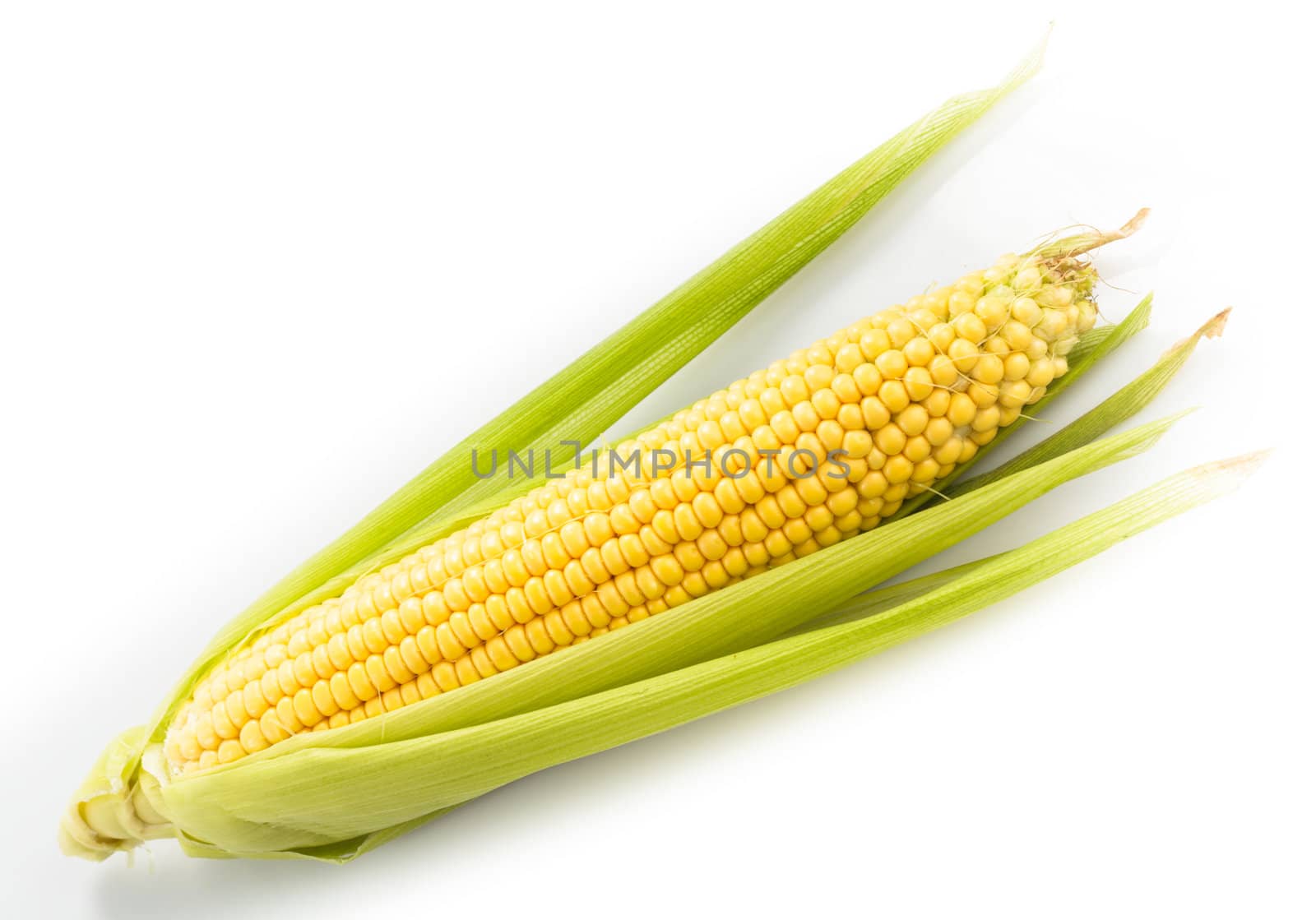 The corn cob isolated on white background