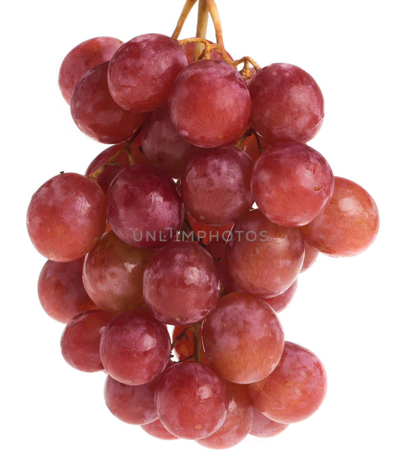 grape by tehcheesiong