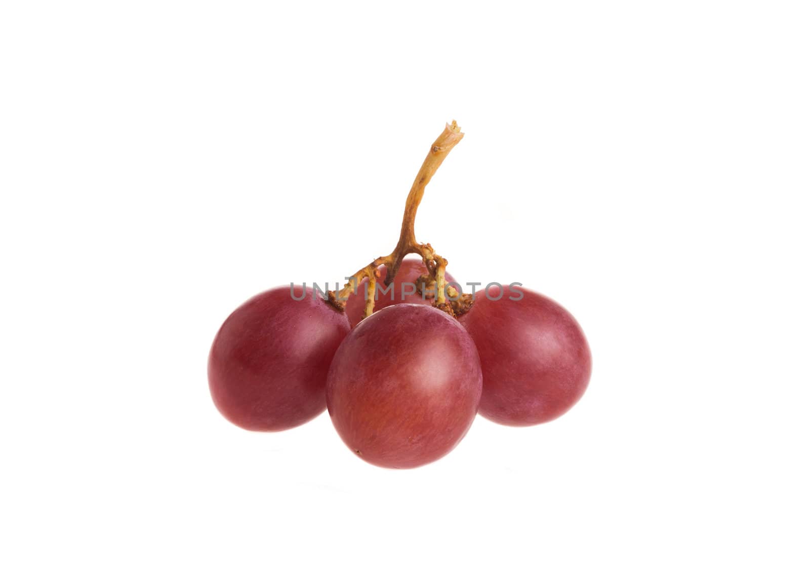 Red grape isolated on white