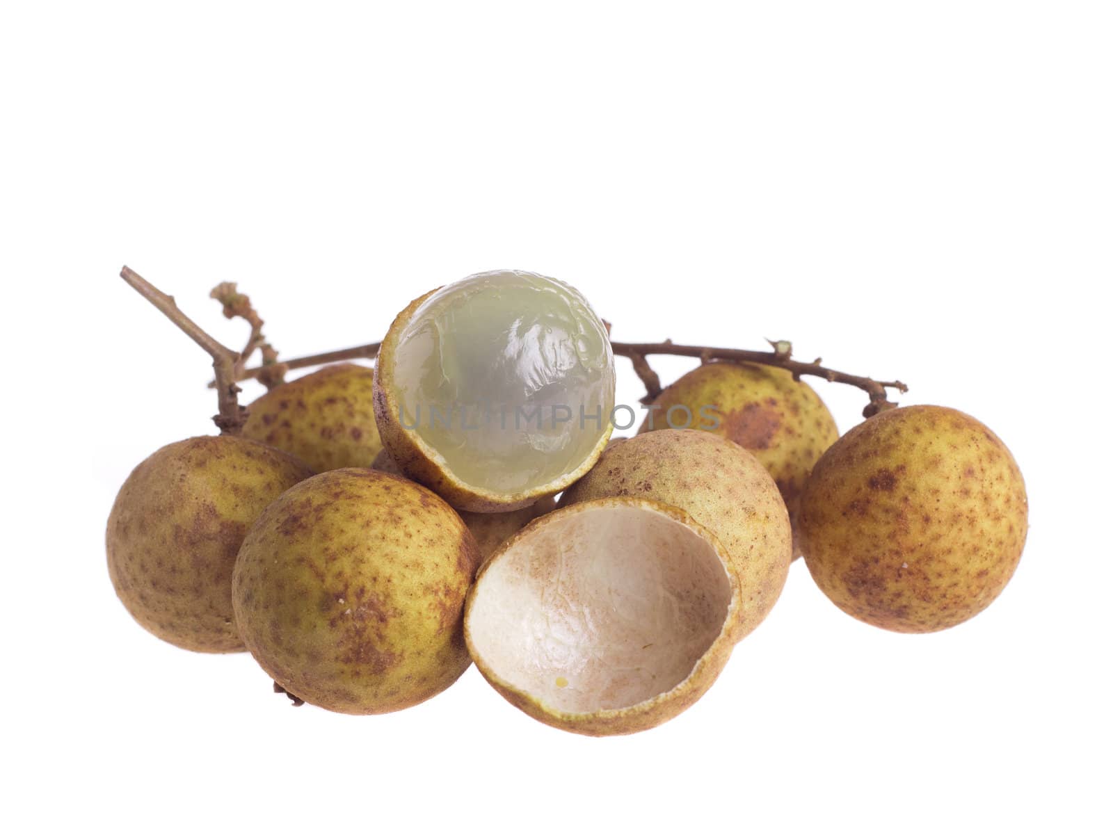 longan isolated on a white background