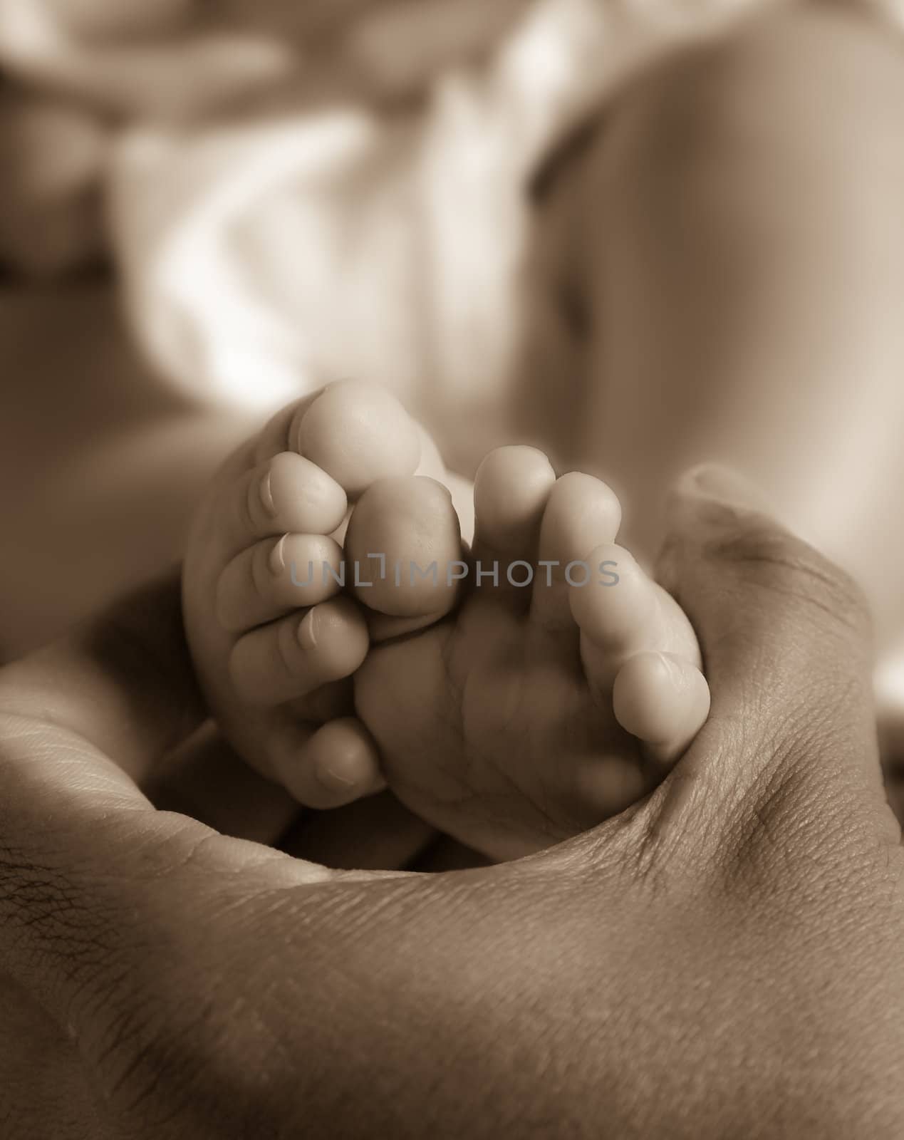 New born baby feet from below