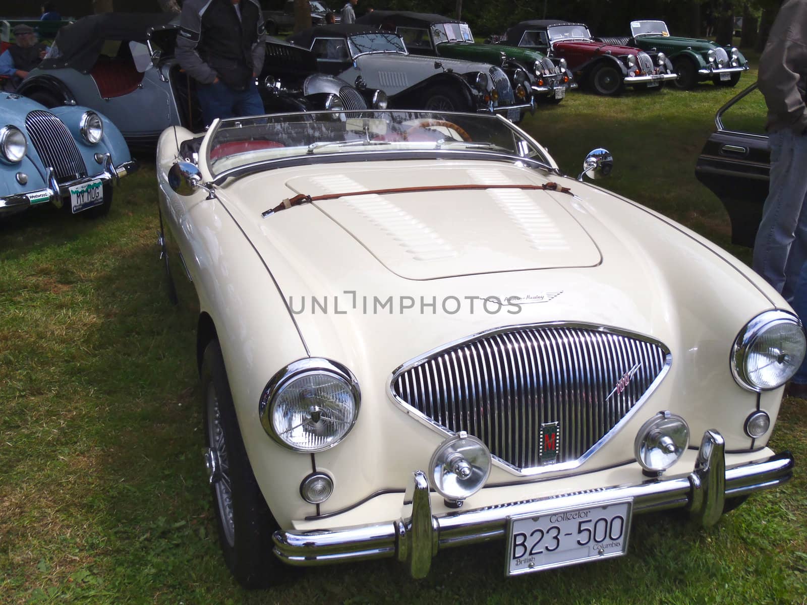 Classic Austin Healy at Victoria BC Classic English car show