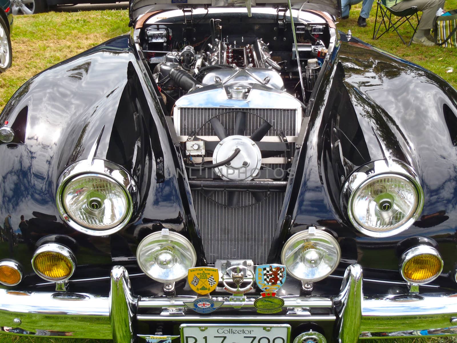 Black Jaguar Engine, Classic