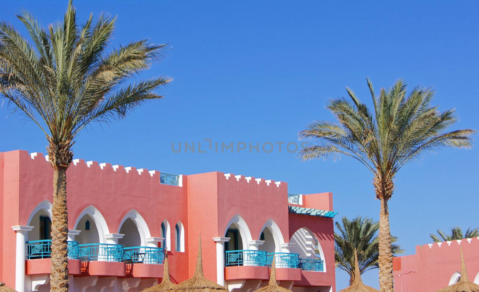 Arabic architecture: palms and building            