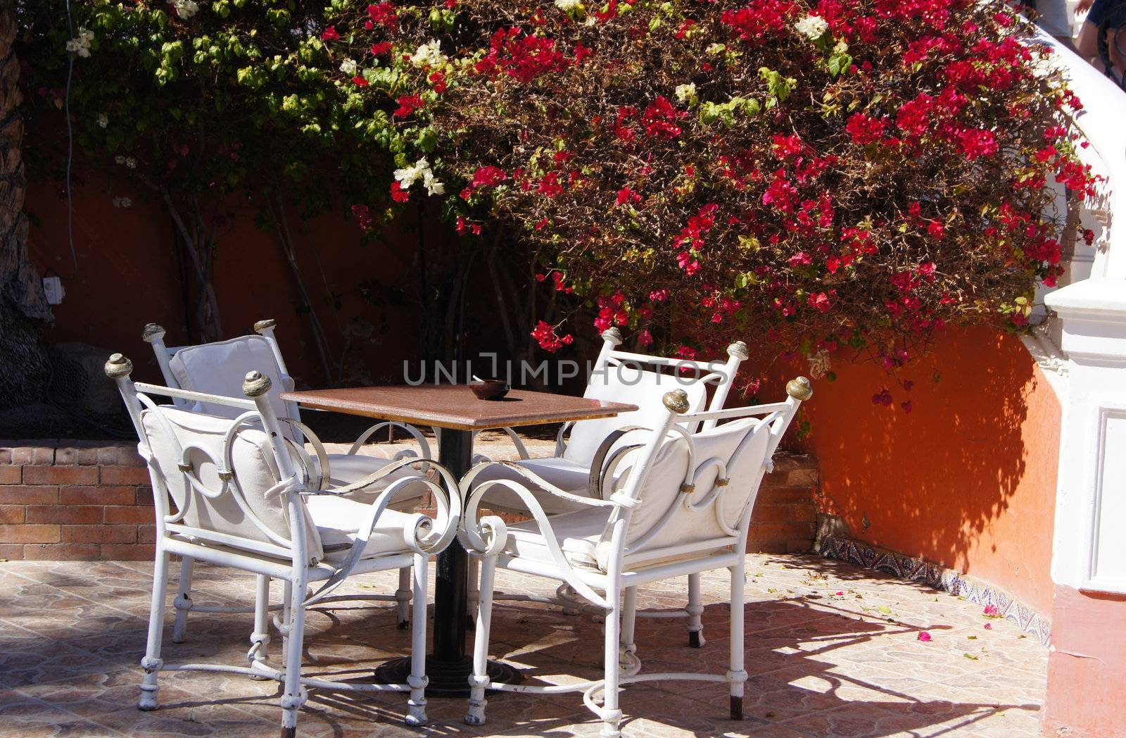 Arabic architecture: table, chairs and bougainvillea            