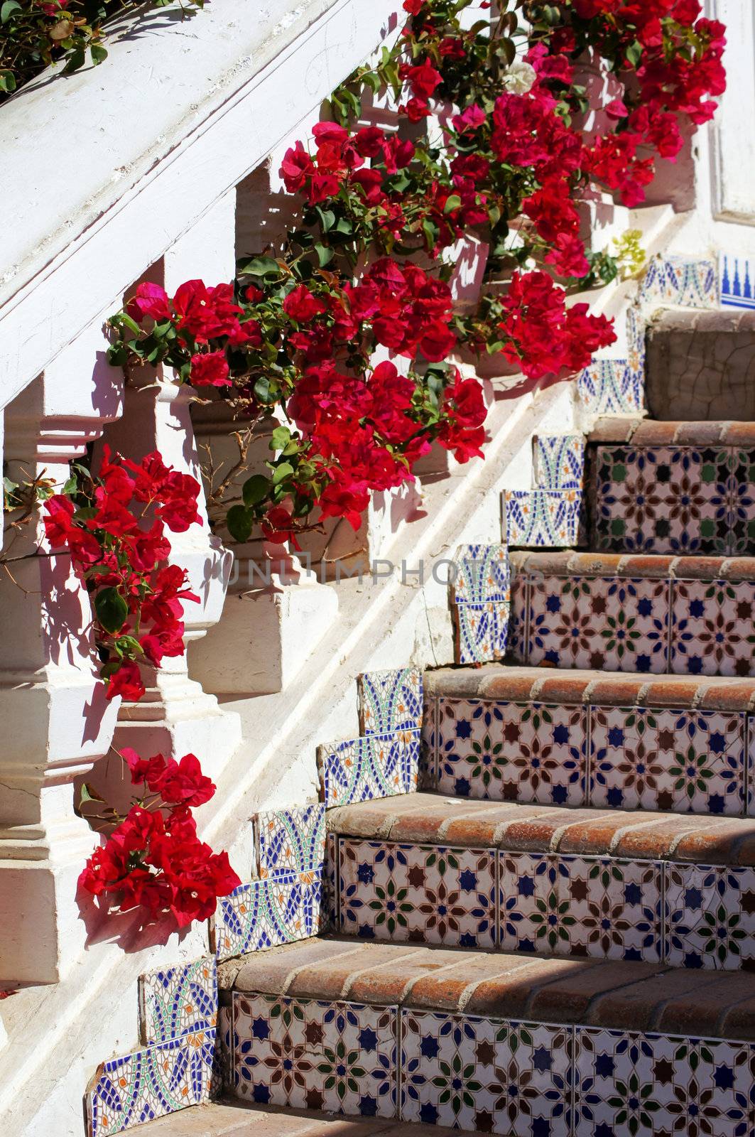 Arabic architecture: ceramic tiled old stairs and bougainvillea blooming         