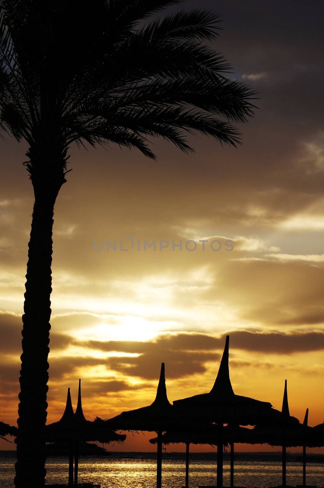 Sunrise on the beach in Egypt on the Red sea shore         