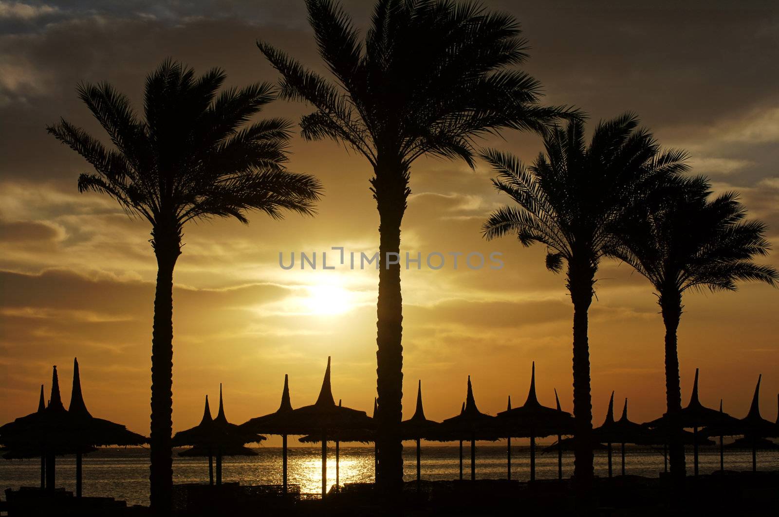 Sunrise over the Red sea beach               