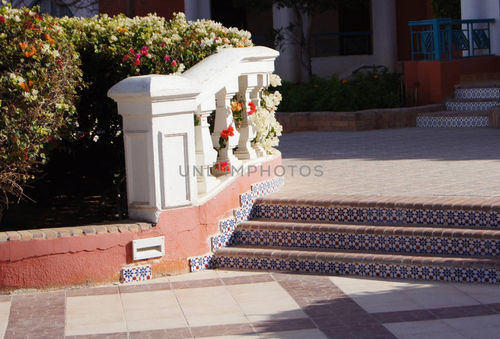 Arabic architecture: ceramic tiled stairs with bougainvillea              