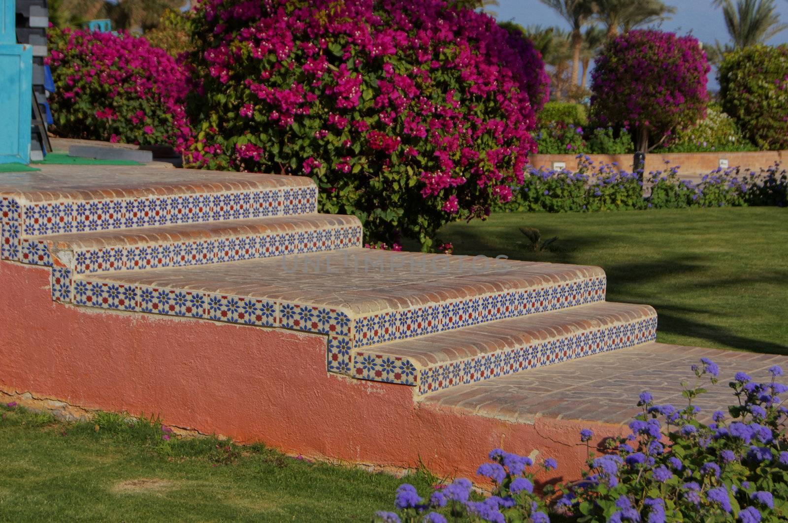 Courtyard of mediterranean villa with ceramic tile walkway and blooming bushes in Egypt 
  