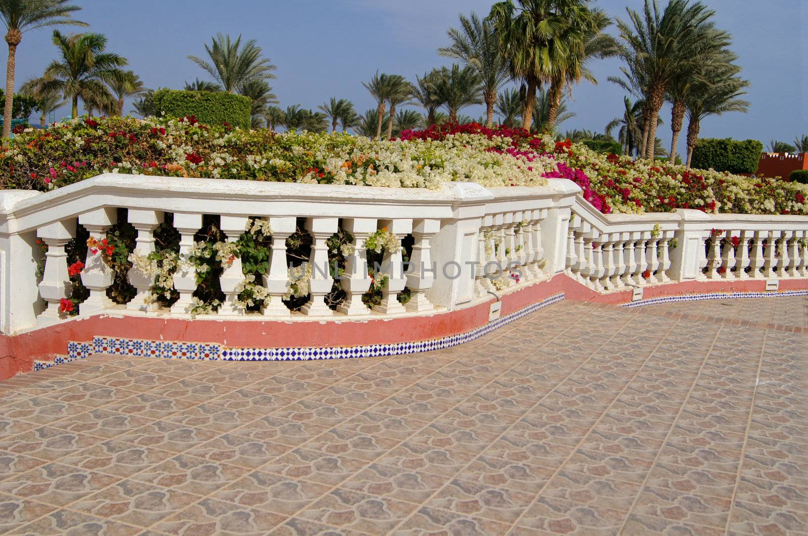 Arabic architecture: walkway and bougainvillea flowers            