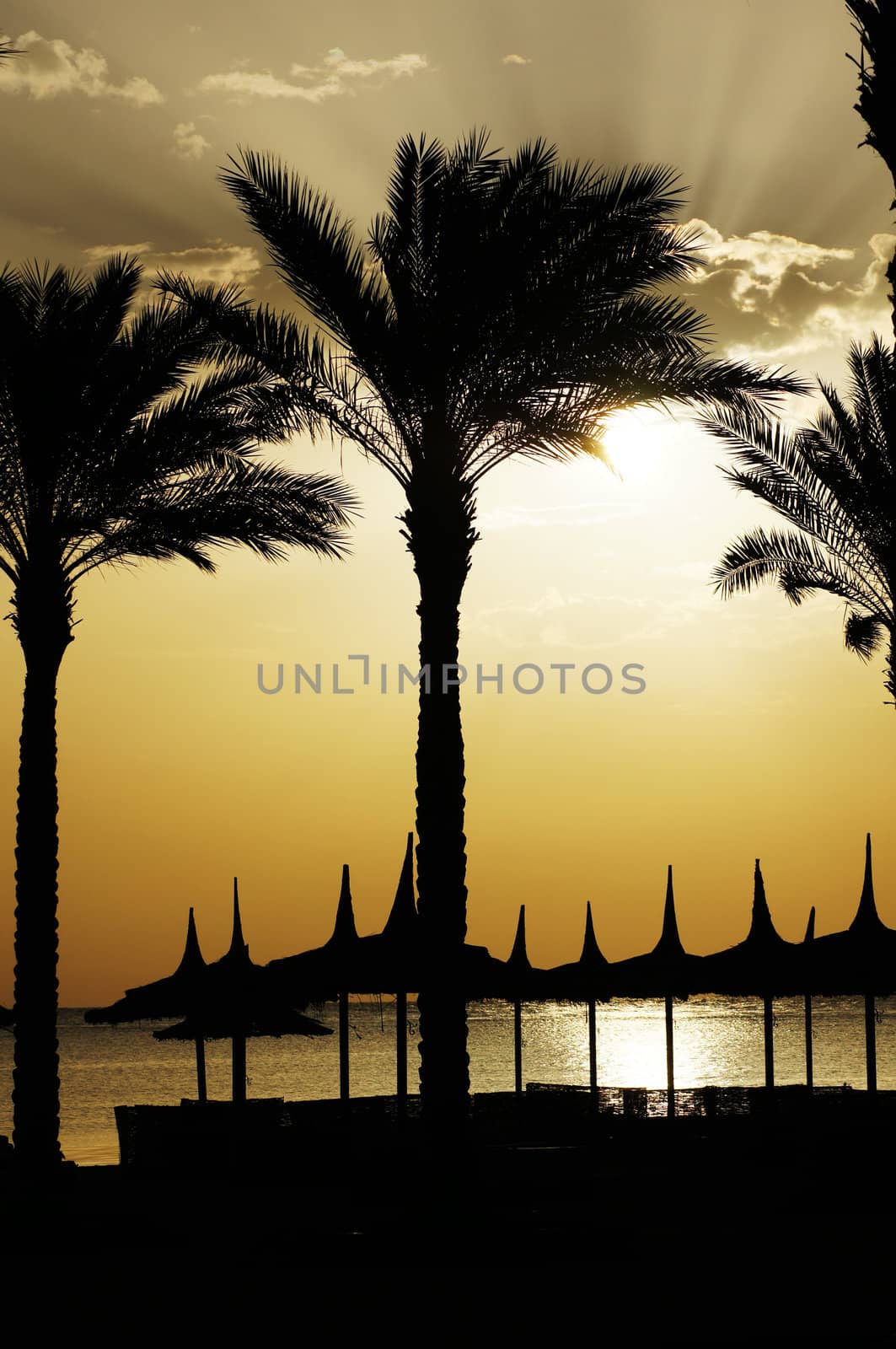 Sunrise over the beach on egyptian coast of the Red sea               